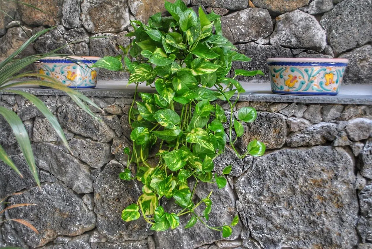 Villa Dedalisa By Holidayngo Acireale